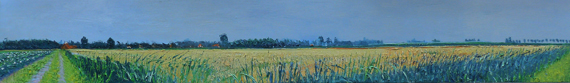 Gertjan ScholteAlbers, graan bij Westernieland, 30 x 200 cm, olieverf op doek