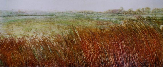 Aly vd Wal, kwelder, 24 x 52 cm, acrylaat-diepdruk