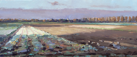 Roos Schuring, Hollands landschap, color light and shadow II, 25 x 60 cm