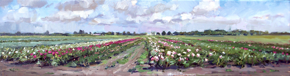 Roos Schuring, Pioenrozenvelden (beter), 24 x 90 cm