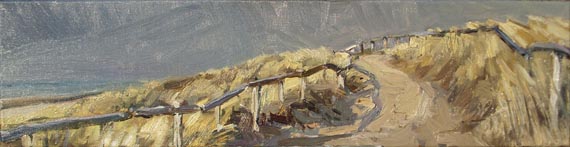 Roos Schuring, duinpad egmond II, 20 x 70 cm